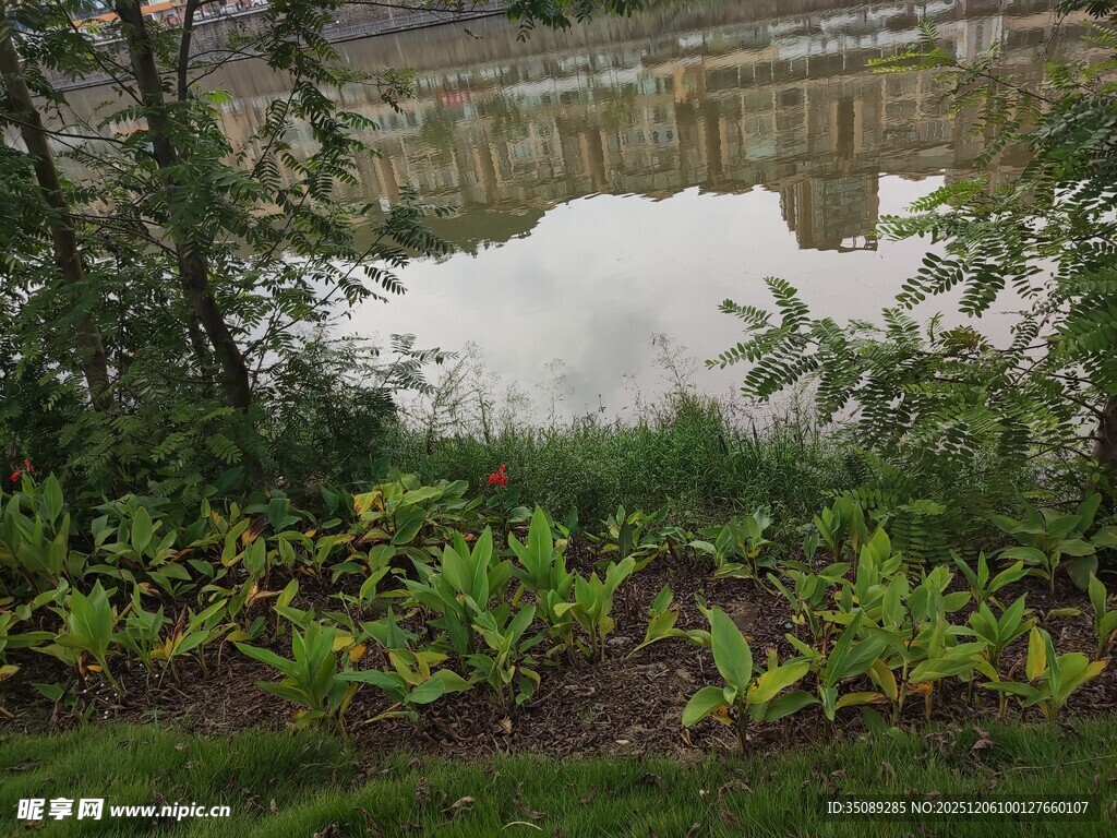 石桥下的绿植与水面景观