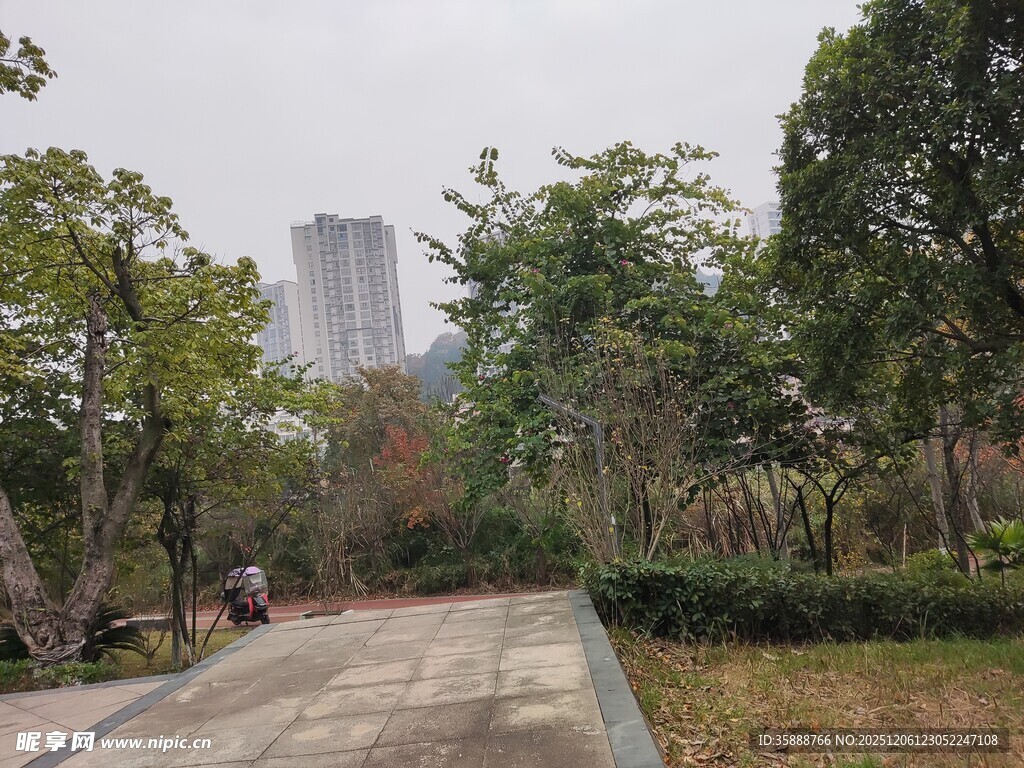 城市公园中的宁静步道