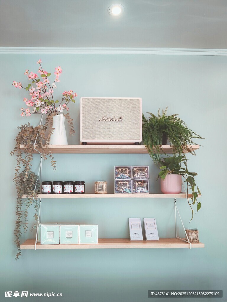 简约绿植装饰的置物架