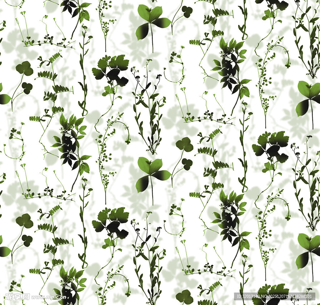 绿叶白花植物图案纹理