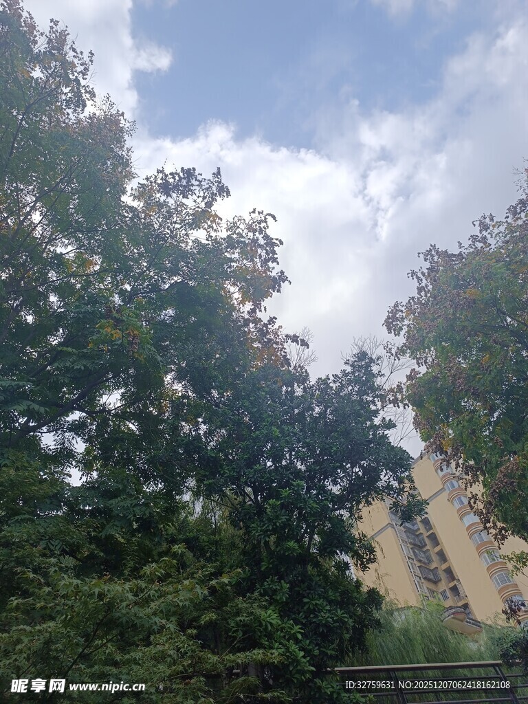 绿树蓝天间的建筑一角