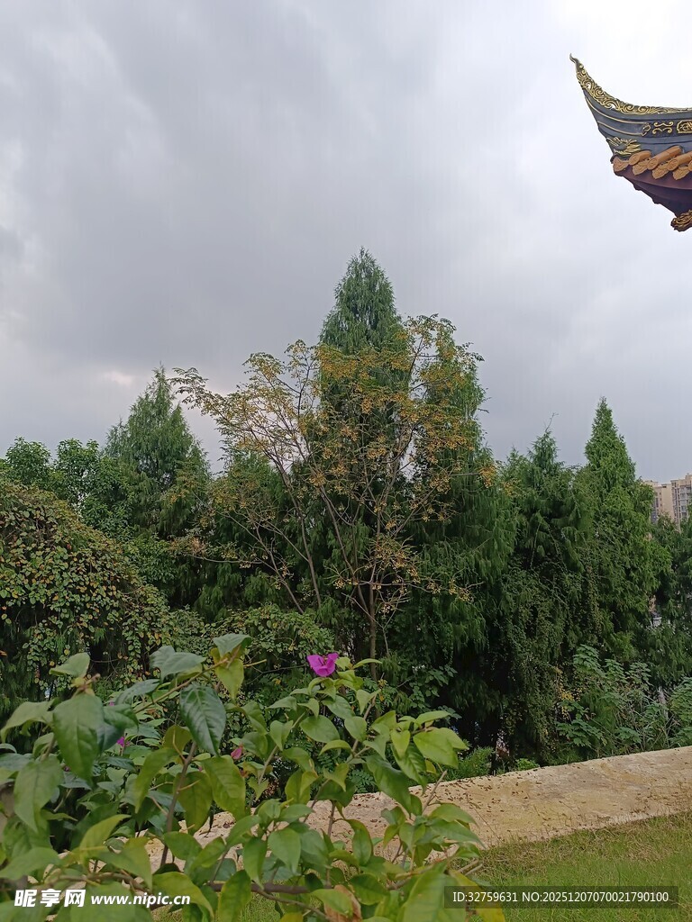 中式园林绿植景观一角