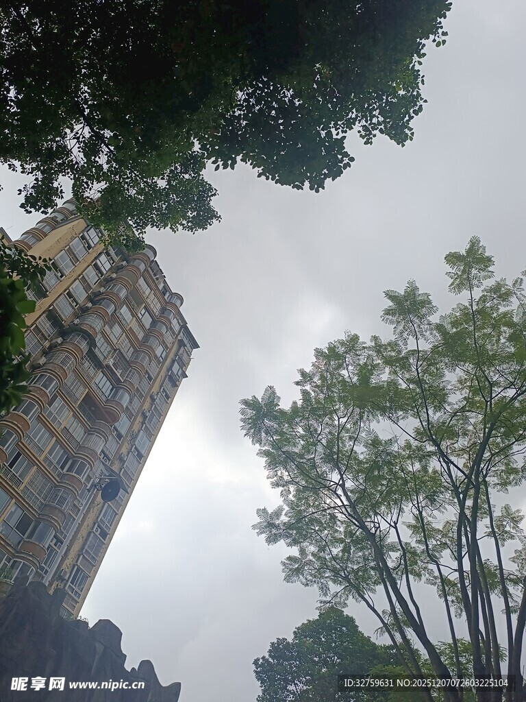 古老建筑与繁茂树木