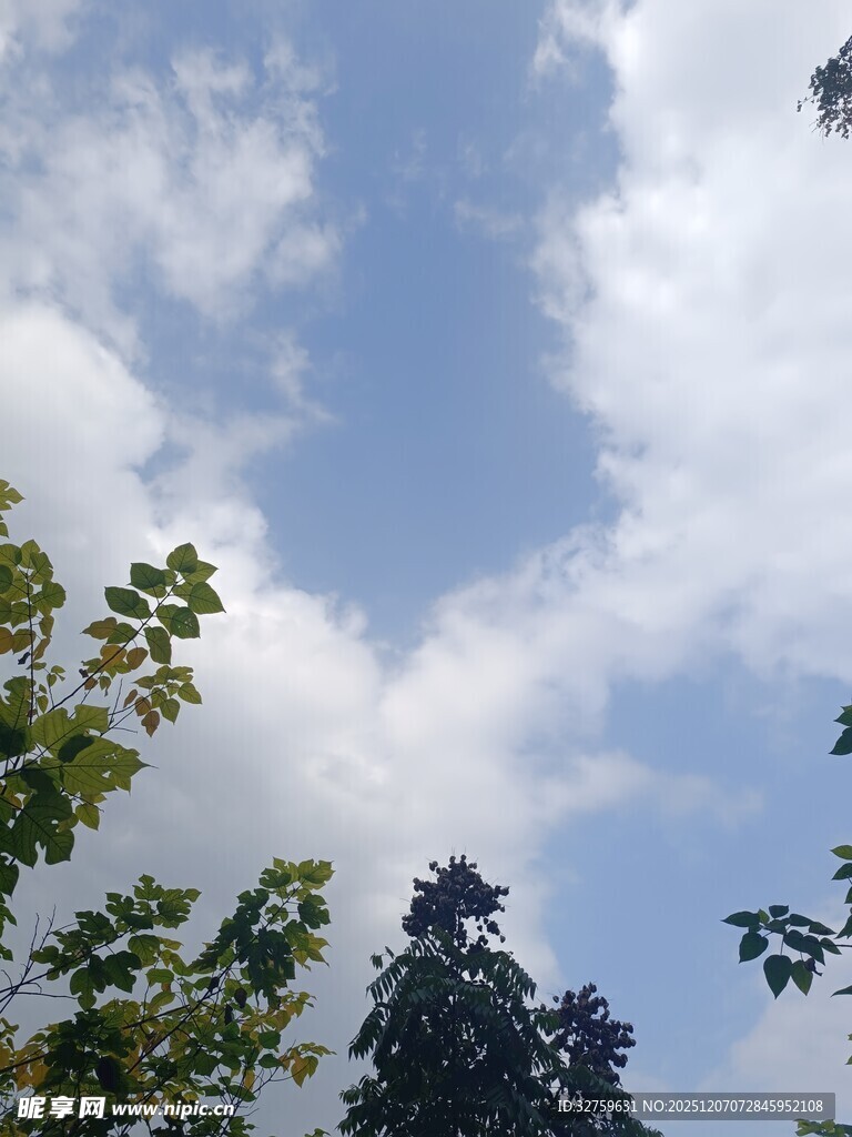 蓝天绿树间的清新景致