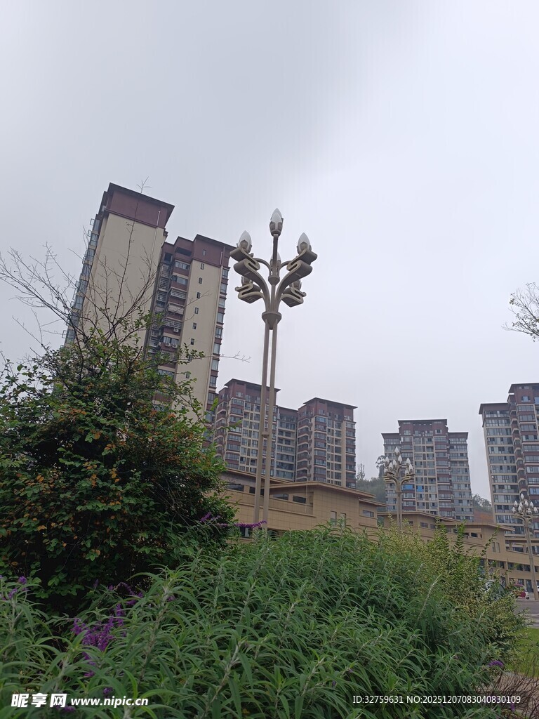 城市中高楼与绿植景观