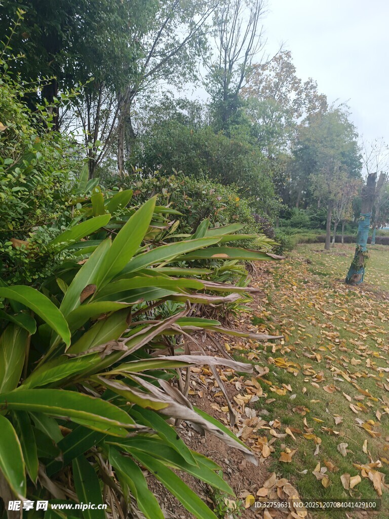 户外绿植环绕的自然景致