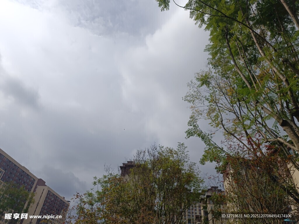 阴天中的绿树与建筑物