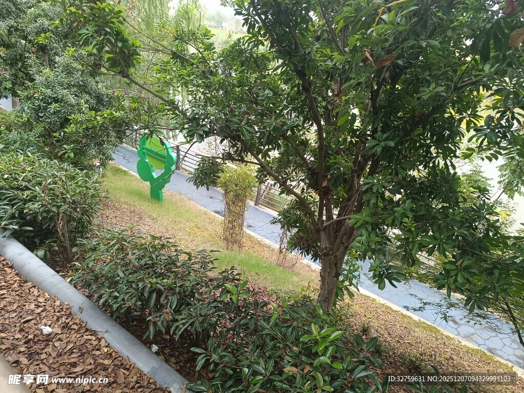 户外绿树环绕的静谧场景