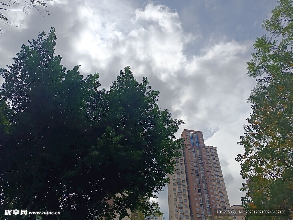 绿树掩映下的高楼