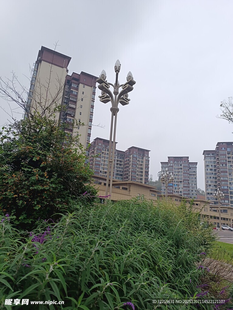 城郊荒废地旁的高楼景观