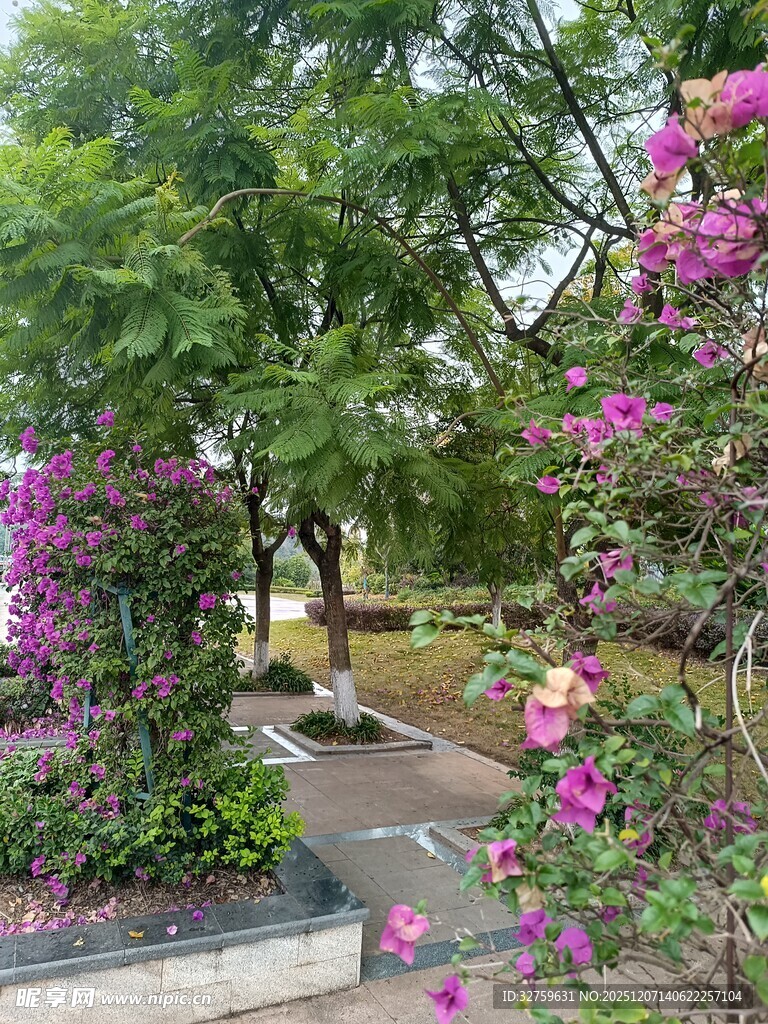 繁花绿树间的静谧小道