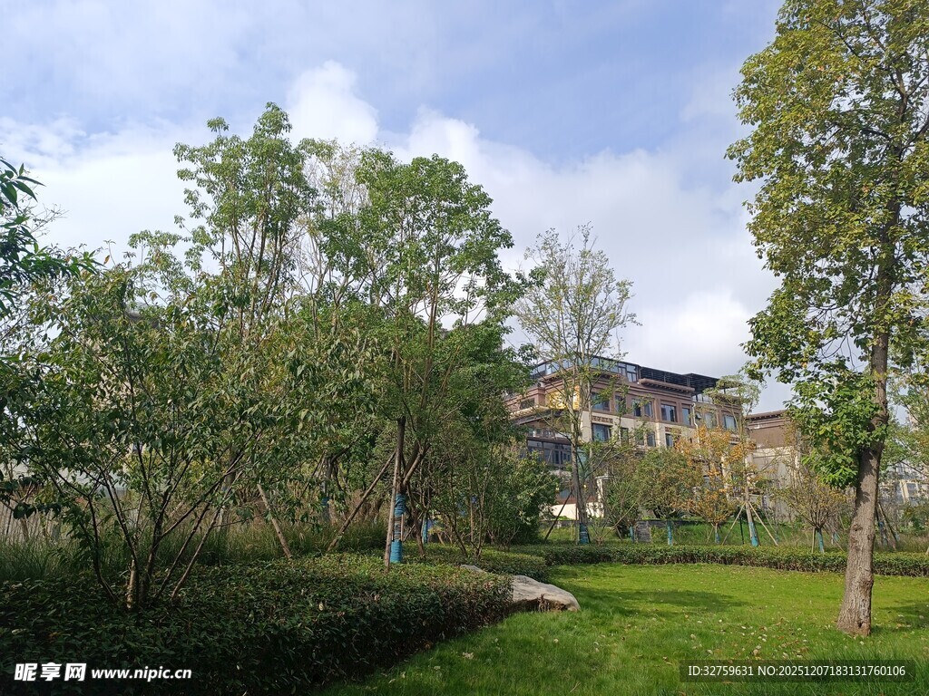 绿意盎然的户外园林景观