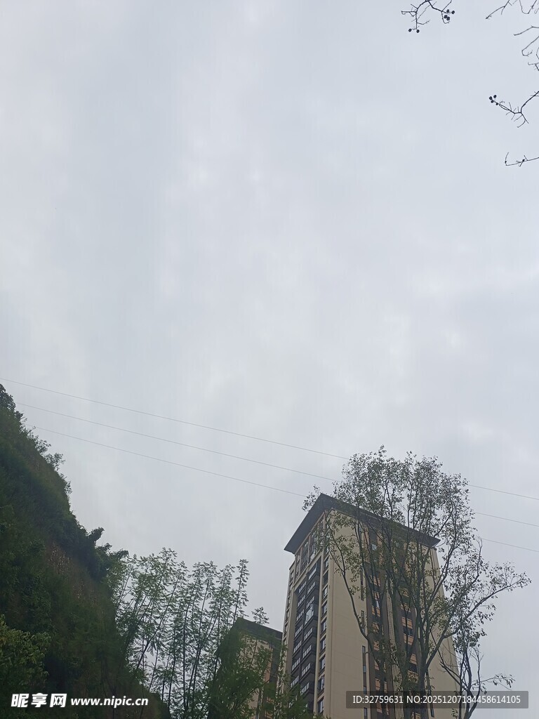 高楼旁的山峦与树木