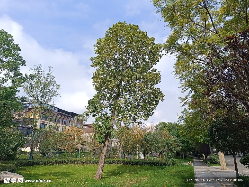 城市中的静谧绿意公园