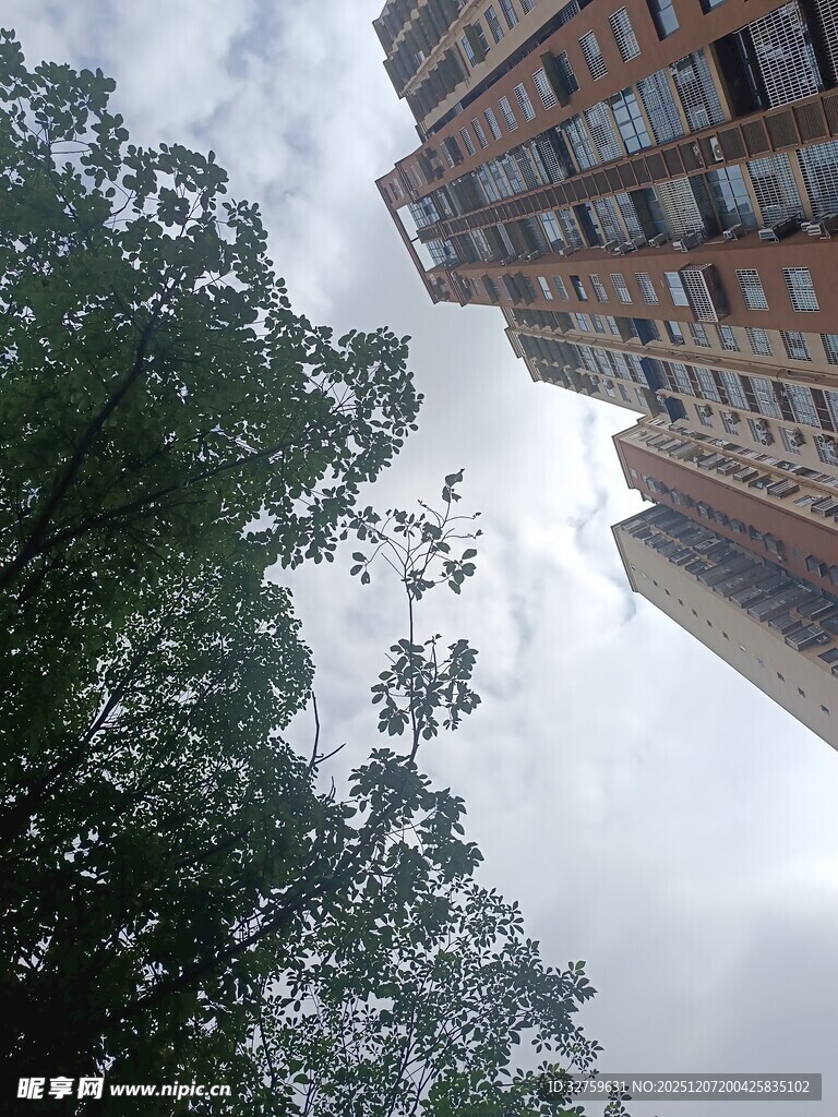 仰视高楼与绿树