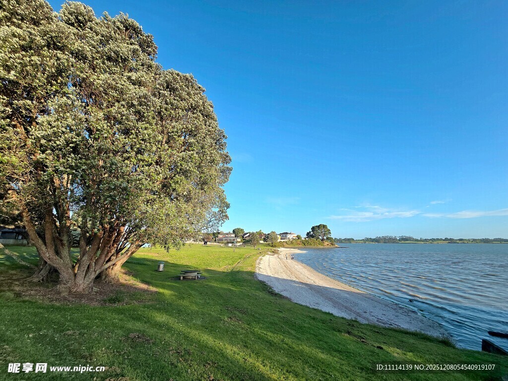 奥克兰海滨风景
