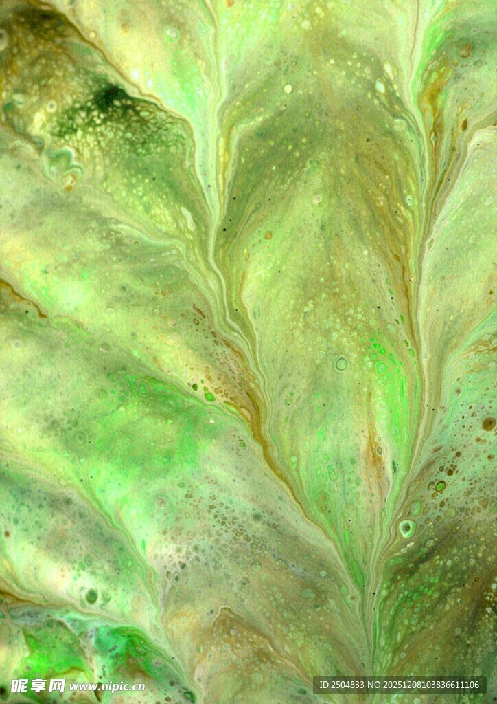 翠绿叶片上的晶莹水珠