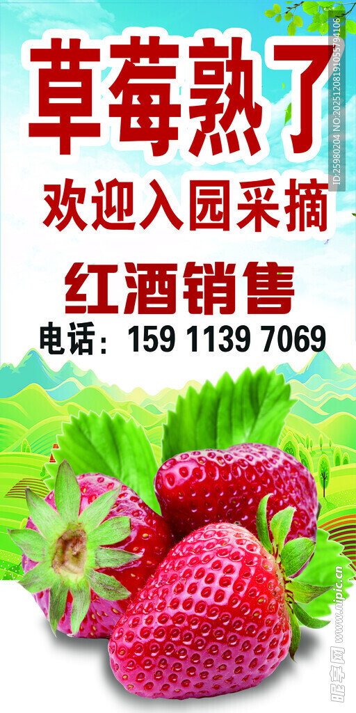 草莓熟了 草莓采摘 海报 展架