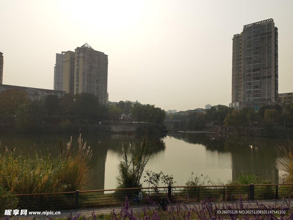 城市湖畔风光