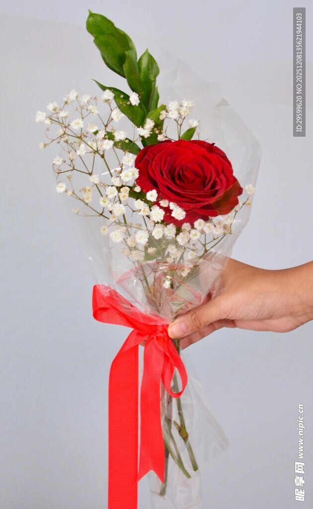 手持红玫瑰配满天星花束
