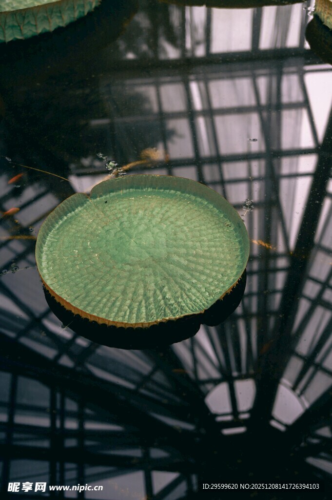 绿色圆形玻璃艺术装置