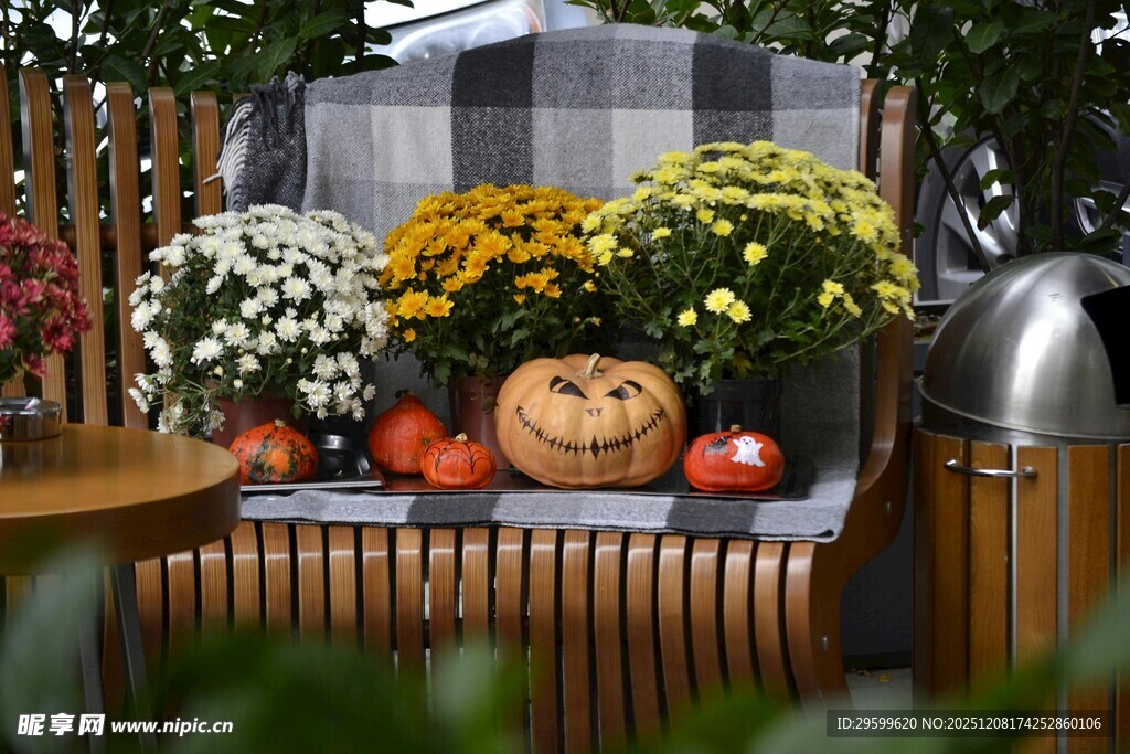秋日户外温馨南瓜装饰场景