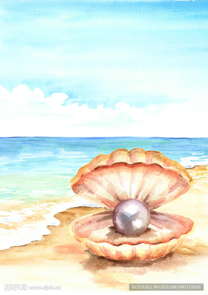 海滩上的珍珠贝壳美景