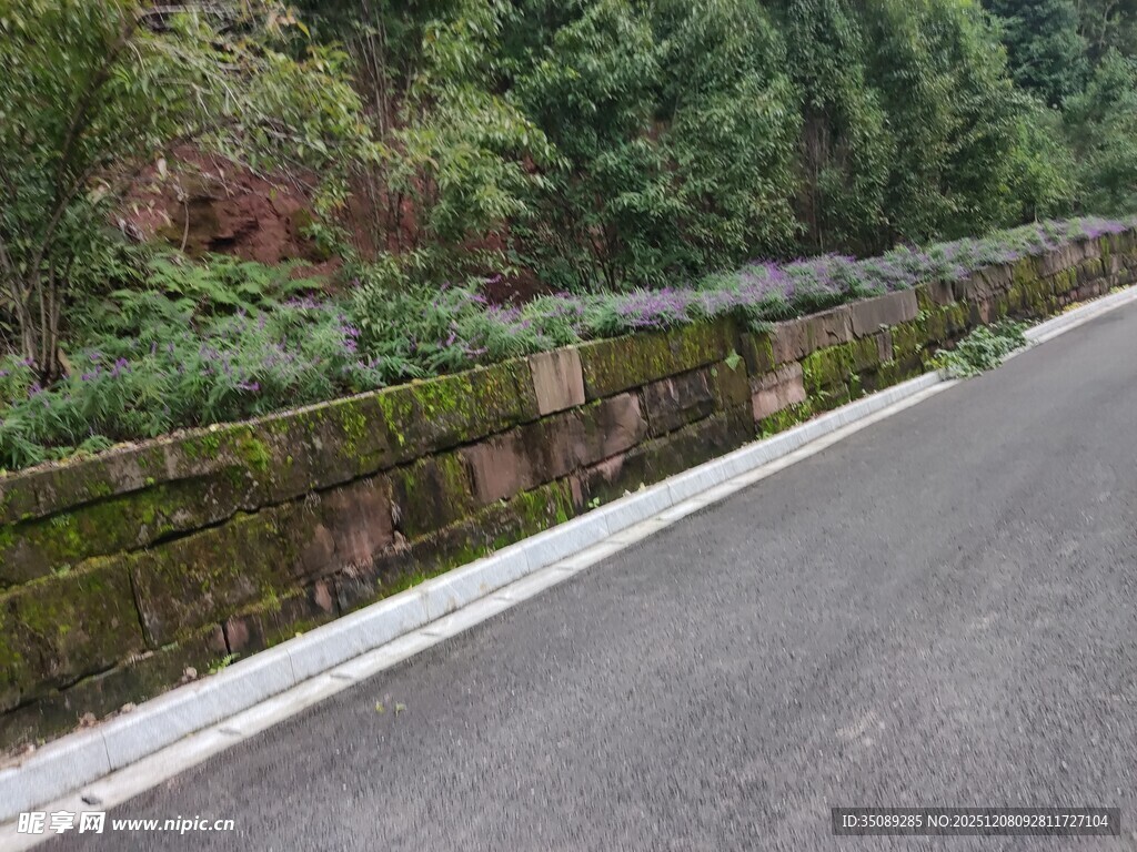 路边石墙与葱郁绿植