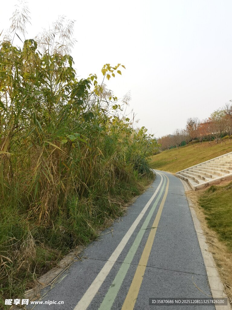 乡间骑行道绿意盎然