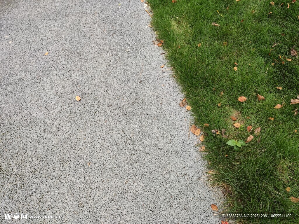 灰白路面旁的翠绿草地