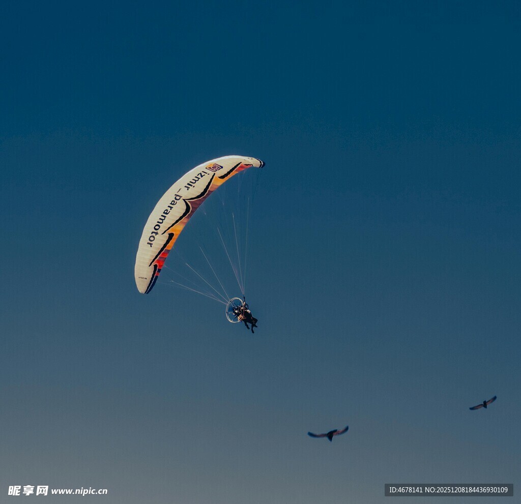 空中滑翔伞与飞鸟共舞