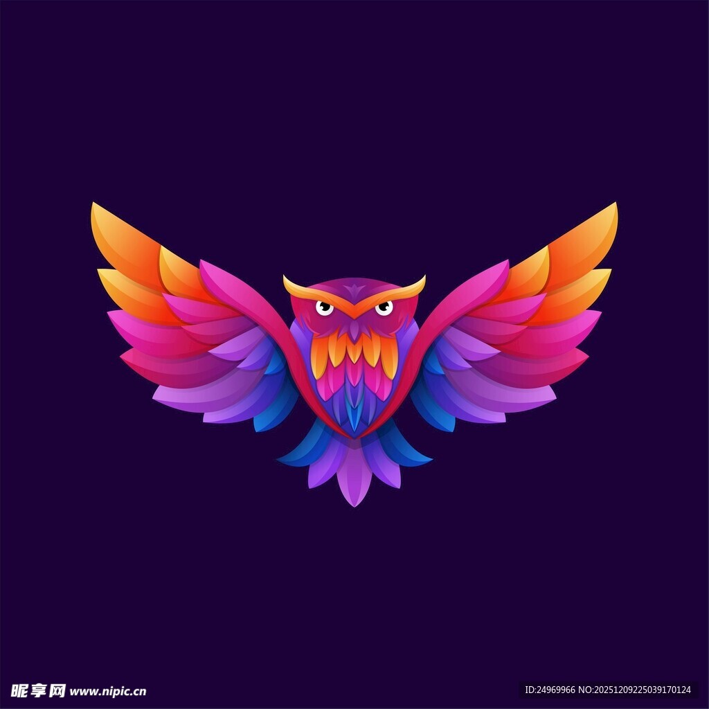 多彩猫头鹰插画