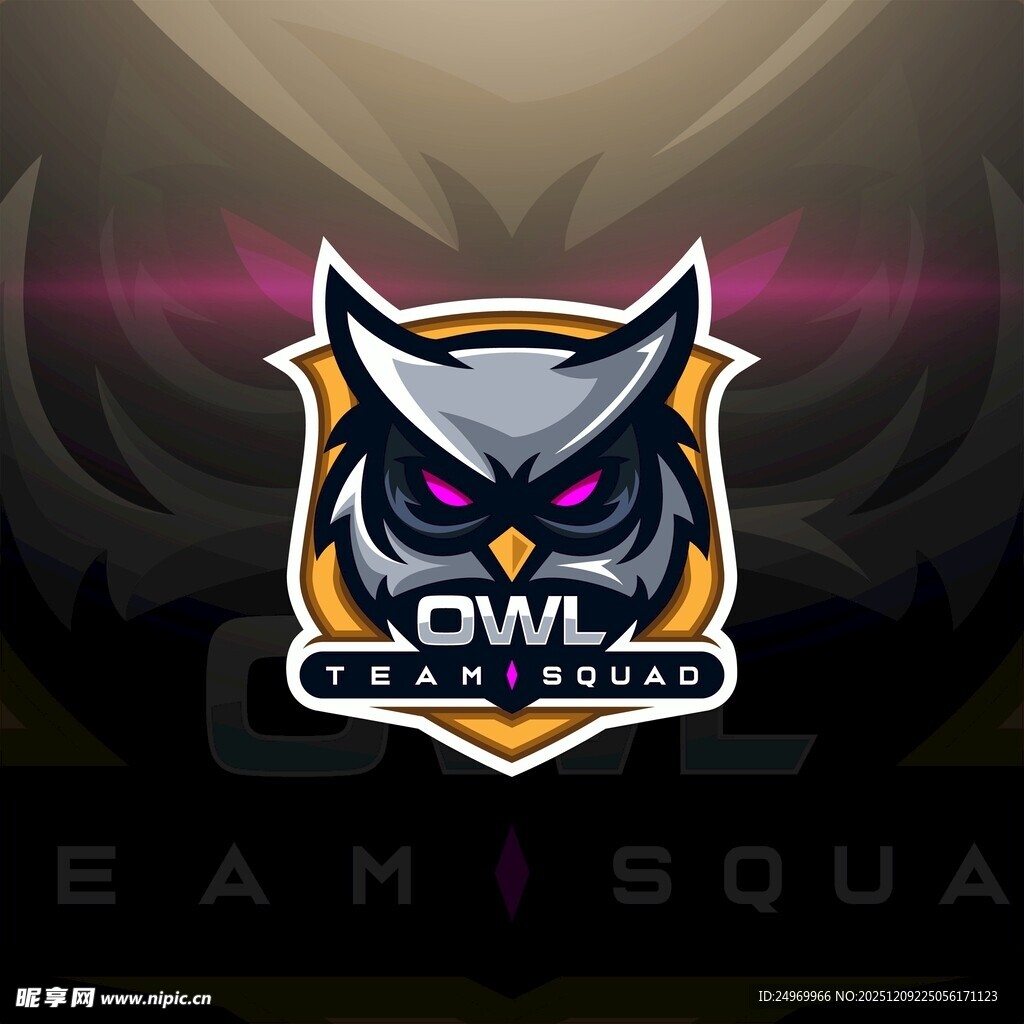 守望先锋联赛战队标志