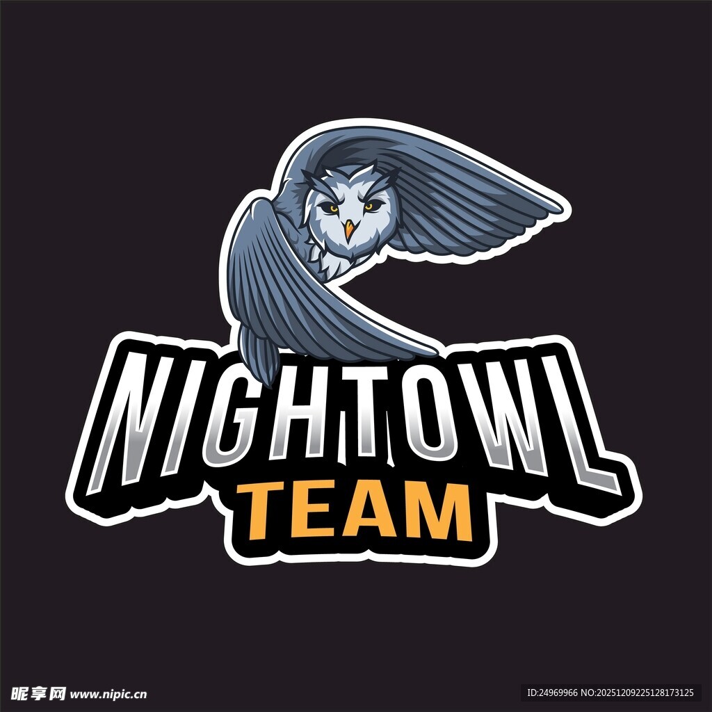 夜鹰团队标志设计