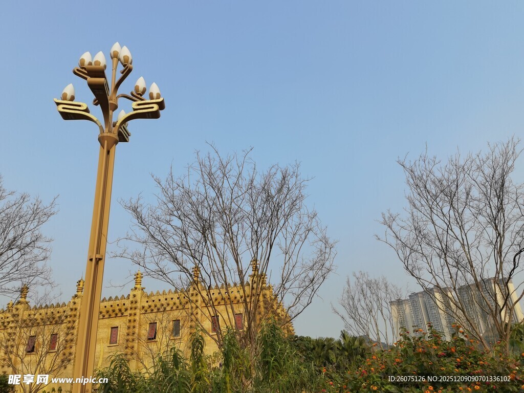 户外高杆灯与周边景致