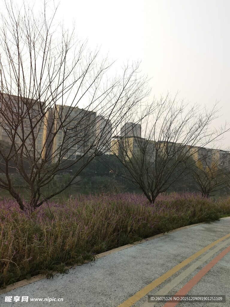 冬日城郊小路风景