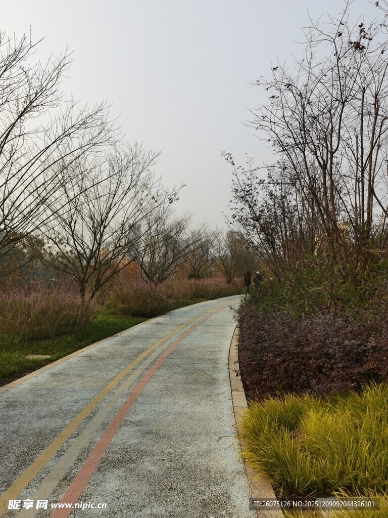 乡间小路静谧自然之景