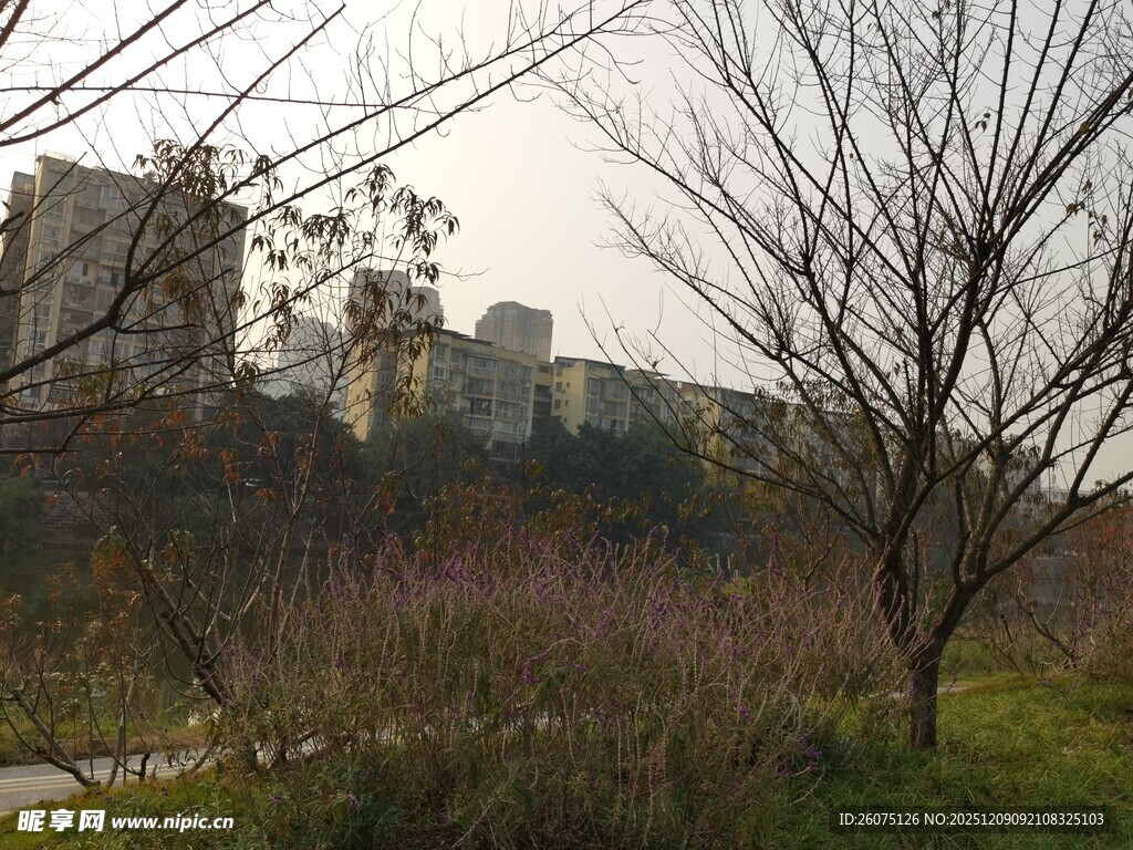 城郊冬日萧瑟景致