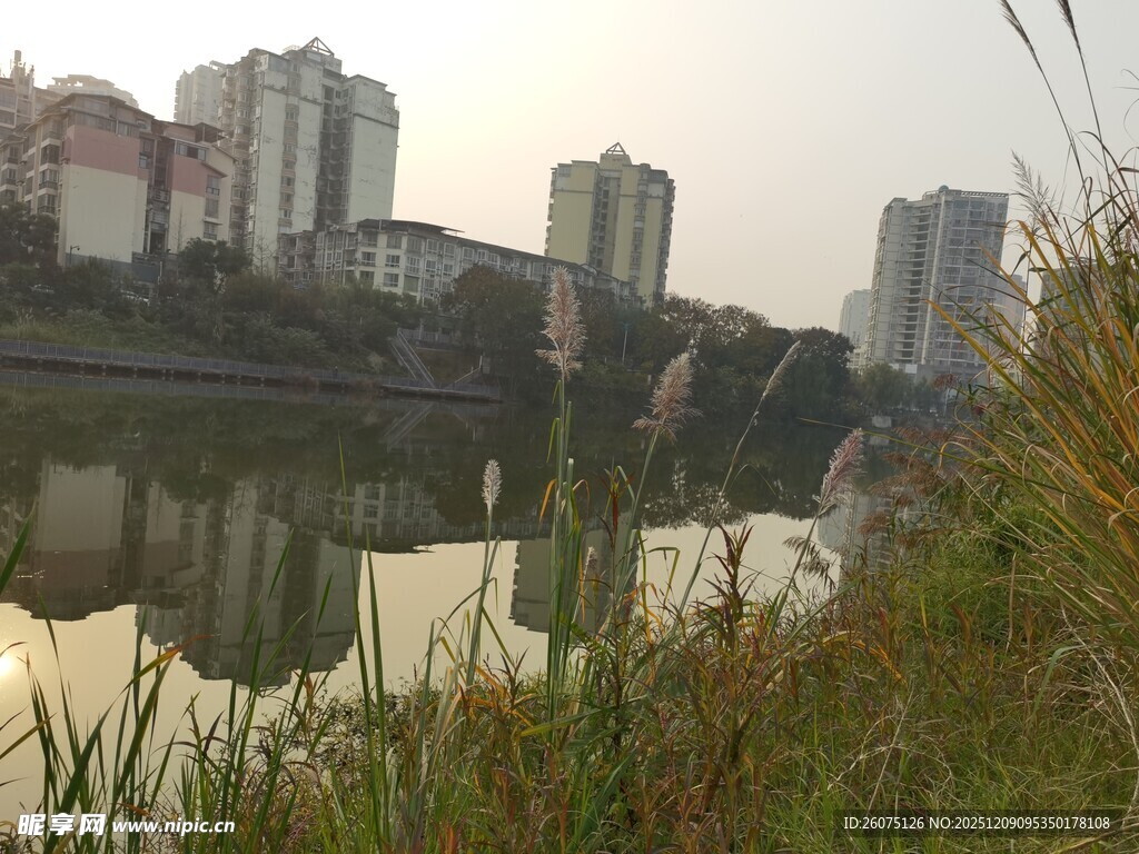 城市河畔风景