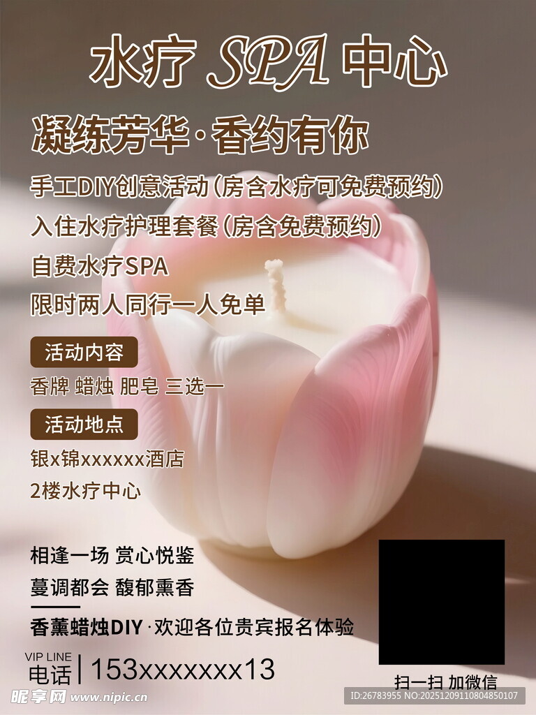 粉色渐变郁金香花朵特写