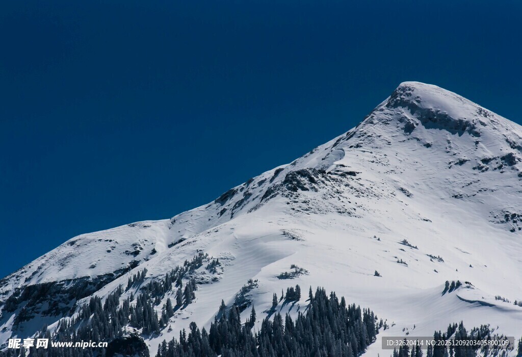 巍峨雪山与林间景致