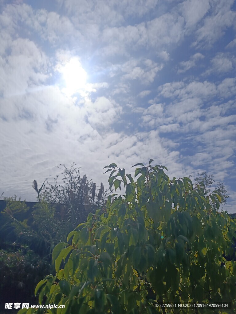 阳光穿透云层照耀绿树