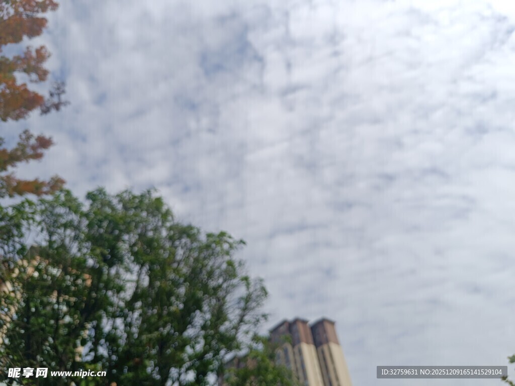 天空下的绿树与古老建筑