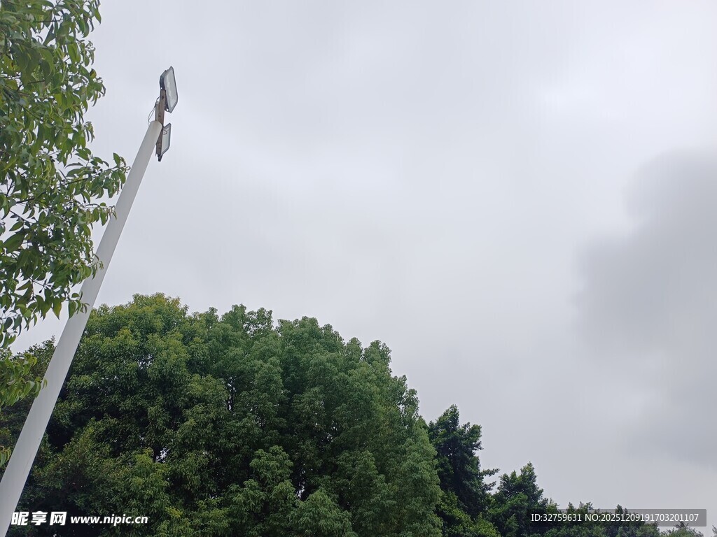 户外白色杆与茂密绿树