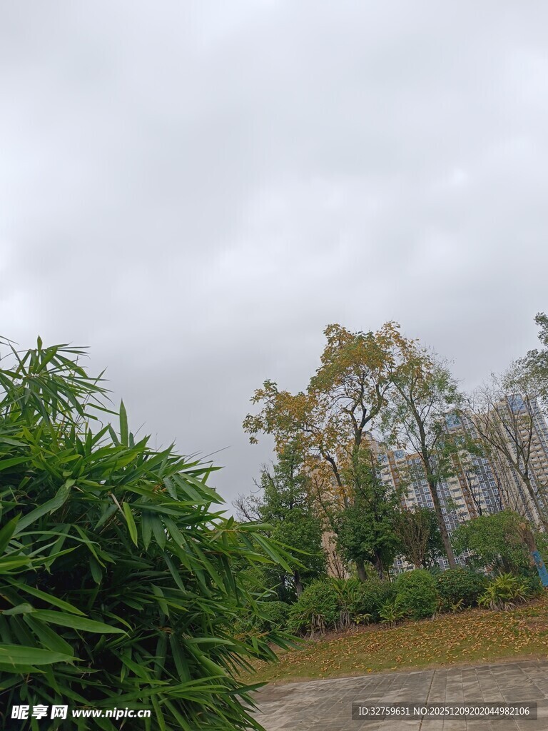 户外绿植环绕的自然小径