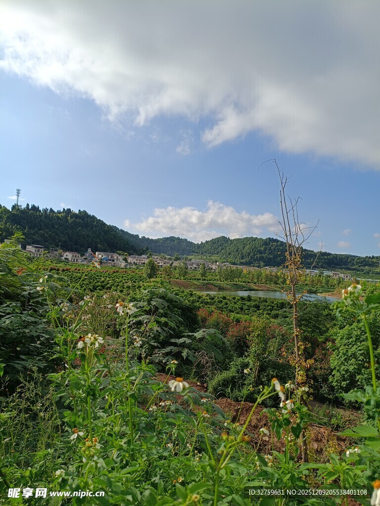 田园风光 