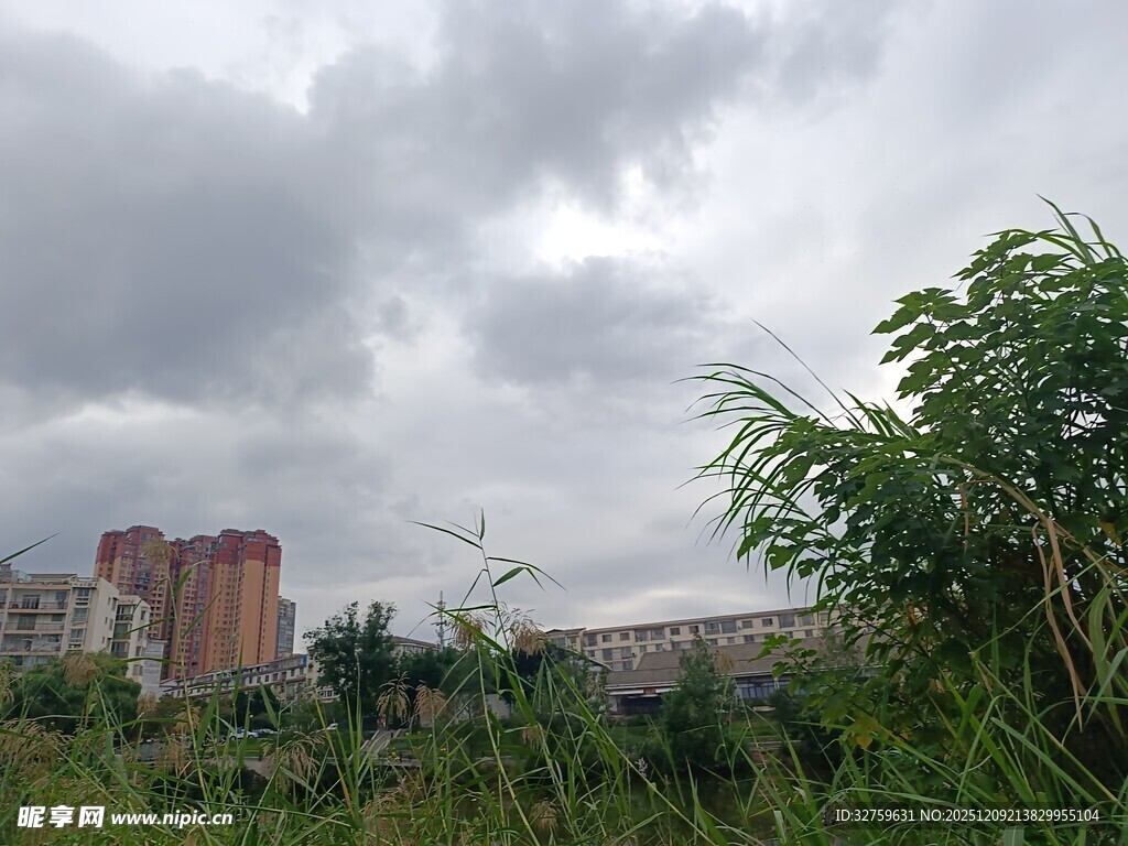 阴天城市边缘绿植与建筑