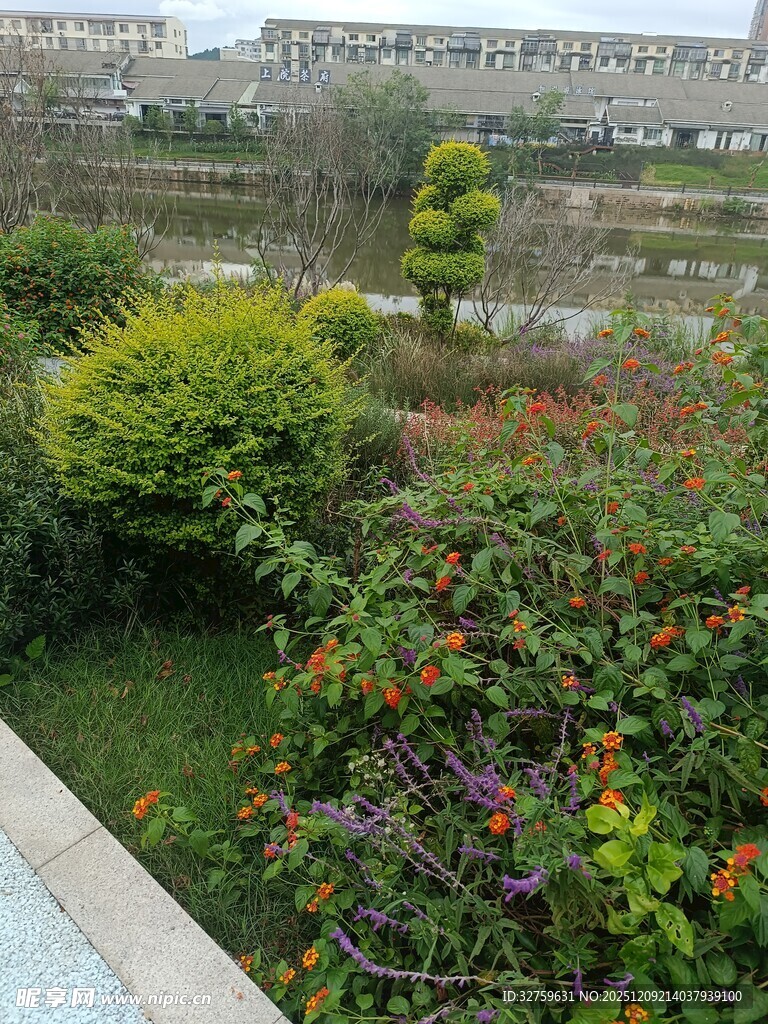 城市花园绿植景观