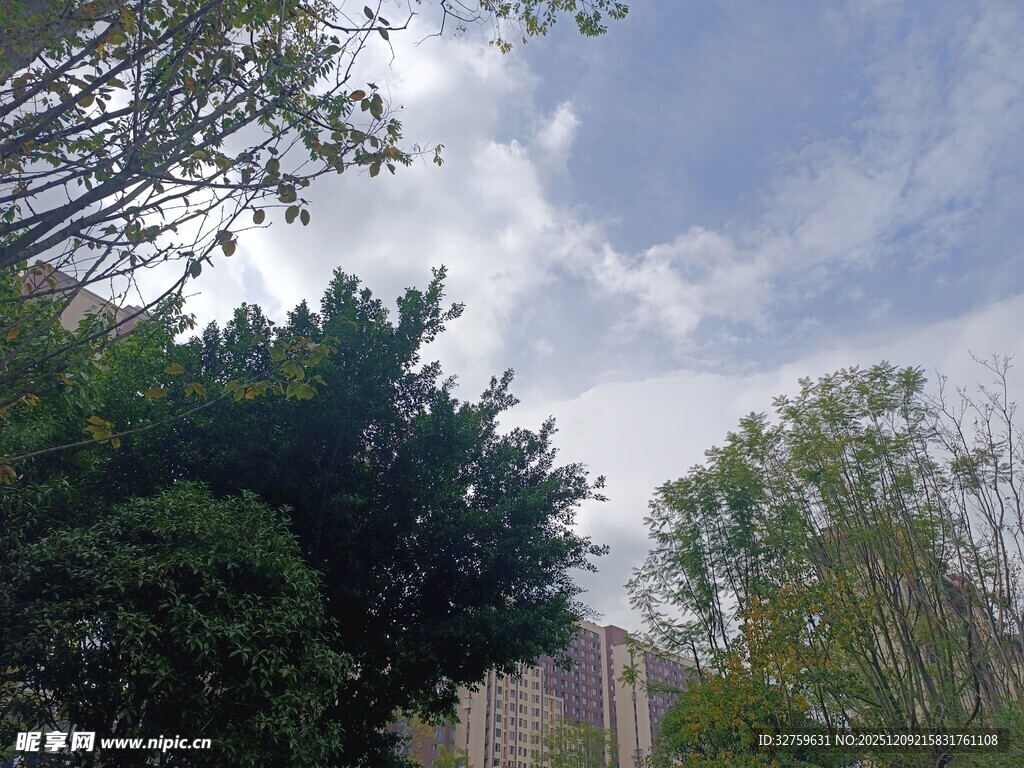 城市间绿树与蓝天景致