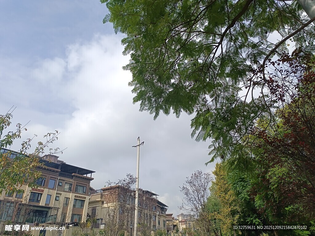 绿树掩映下的中式建筑